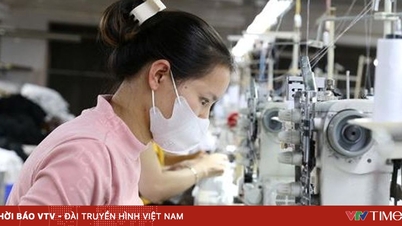 Daripada saringan kepada kejayaan: Perniagaan Vietnam menghadapi peluang baharu.