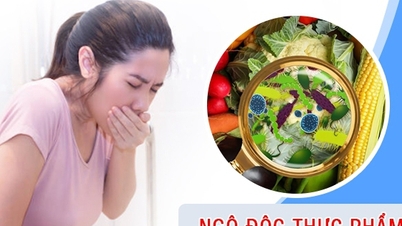 Bộ Y tế: Truy suất nguồn gốc thực phẩm khiến nhiều người nghi ngộ độc phải nhập viện tại Đồng Tháp