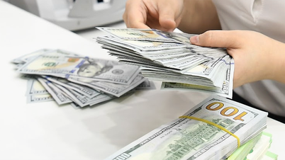 أحدث التوقعات لسعر الدولار الأمريكي في فيتنام عام 2026