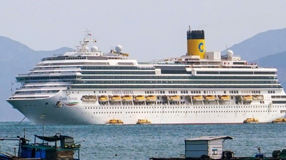 Internationale Kreuzfahrtschiffe wagen sich nach Nha Trang.