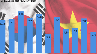 Vietnam : un partenaire stratégique de long terme et une pierre angulaire des futurs investissements sud-coréens.