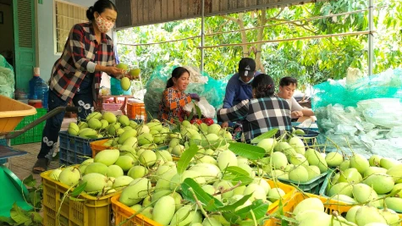 Parte 1: Liberar la mentalidad de los agricultores en la producción.