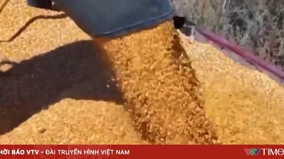 Indonesia har sluttet å importere visse typer mat.
