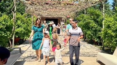 Khanh Hoa : Plus d'un demi-million de touristes sont attendus pour visiter la région et y séjourner pendant les vacances du Nouvel An 2026.