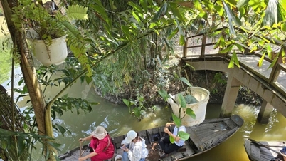 A Mekong-delta vonzza a turistákat az újévi ünnepek alatt: Élvezze a csónakázást és „interakcióba lépjen” krokodilokkal.