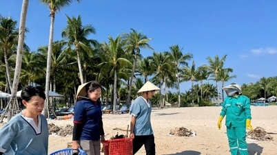 Phu Quoc: Setki osób pracowały całą noc, sprzątając śmieci i zachowując piękno plaży Bai Kem w porze monsunowej.