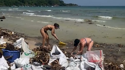 Φου Κουόκ: Οι παραλίες Κεμ και Σάο καλυμμένες με σκουπίδια και υάκινθους νερού στις αρχές του 2026.