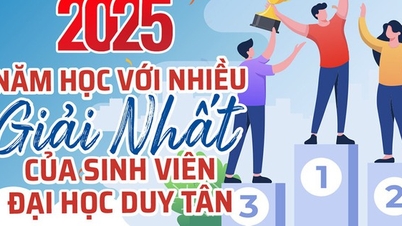 2025: Duy Tan Üniversitesi öğrencileri için birçok birincilik ödülüyle dolu bir yıl.