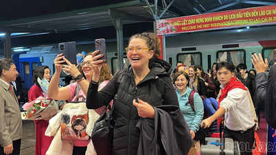 Over 363,000 tourists visited Lao Cai during the 2026 New Year holiday.
