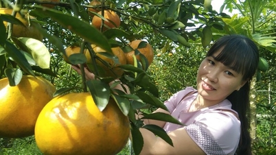 พิธีเปิดงานเทศกาลส้มชมพูไล่หวุง