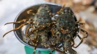 Exporten av fisk och skaldjur överstiger 11 miljarder dollar.