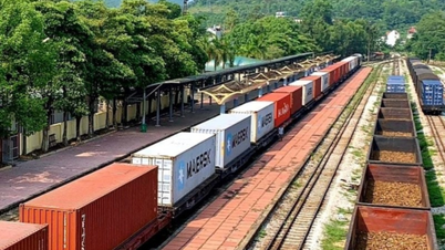 Jumlah kargo yang diangkut antara China dan Vietnam mencecah 37,000 TEU.