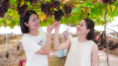 ទេសចរណ៍នៅភាគខាងត្បូងខេត្ត Khanh Hoa កំពុងមមាញឹកក្នុងឱកាសបុណ្យចូលឆ្នាំថ្មី។