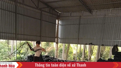 ប្រាក់កម្ចីខ្នាតតូច ចំនួនទឹកប្រាក់ច្រើនសម្រាប់ស្ត្រី