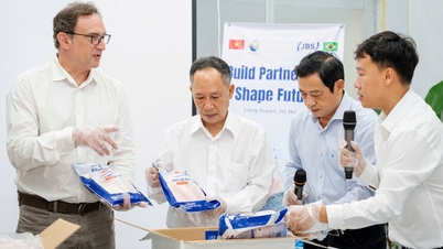 Diversifisering av eksportmarkedene for pangasius og tilapia.
