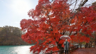 Fukushima: Entdecken Sie die lebendige Schönheit des Herbstes und einzigartige kulturelle Erlebnisse in Japan.