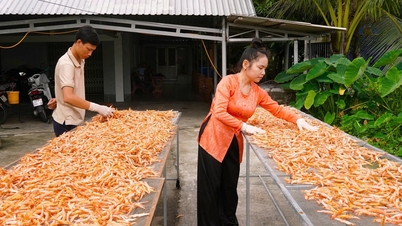ขนมรูปทรงคล้ายกรงเล็บจากเมืองกาเมา ซึ่งมีราคาสูงถึงหลายล้านดอง เป็นที่ต้องการอย่างมากในช่วงเทศกาลตรุษจีน