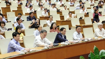 전례 없는 사안에 대한 국회의 결정력은 주목할 만하다.