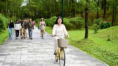 Net Zero Tourism: Long-term and Substantive Solutions Needed