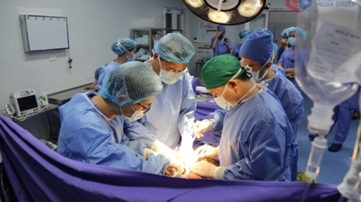 Specialized hospitals: Elevating the quality of medical examination and treatment.