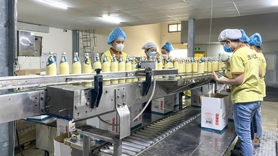 Phấn đấu kim ngạch xuất khẩu dừa của tỉnh đạt 1 tỷ USD