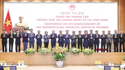 International Finance Center in Da Nang City: Shaping a strategic vision and aspiring to reach greater heights.