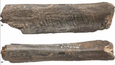 Es wurden prähistorische Bärenknochen entdeckt, die künstlerische Spuren von Neandertalern aufweisen.