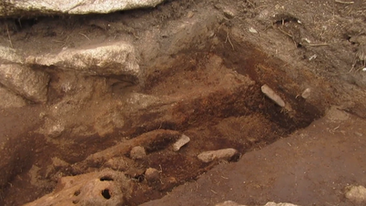 Excavaciones en Guernsey descubren antiguos lugares de enterramiento de delfines.