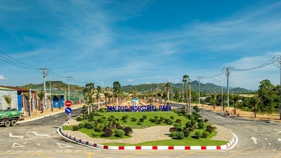 La provincia de Lam Dong está intensificando sus esfuerzos para atraer inversiones a las zonas industriales.