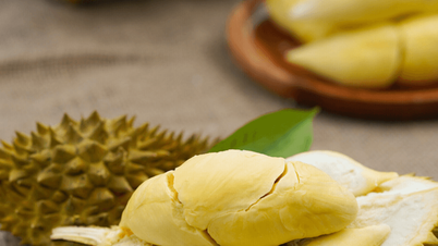 Precios del durian hoy, 5 de enero: el durian Ri6 sube a 65.000 VND, el durian tailandés mantiene un precio alto.