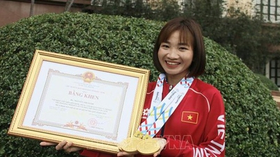 'Bac Ninh Sports' برانڈ قائم کرنا۔