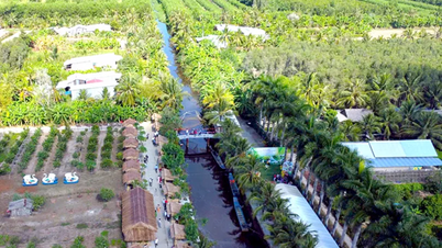 Ca Mau: Mais de 1,4 trilhão de VND investidos no desenvolvimento do turismo na floresta de U Minh Ha.