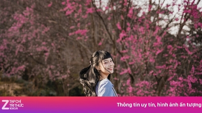 Giải pickleball kéo khách vượt kỳ vọng cho Măng Đen dịp Tết Dương lịch