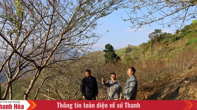 Masyarakat Hmong sepenuh hati mengikuti Partai - Aspirasi untuk kehidupan yang lebih baik dari pegunungan tinggi (Bagian 1): Mengurai "hambatan" dalam pola pikir dan metode.