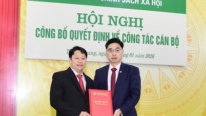 Cabang Provinsi Tuyen Quang dari Bank Kebijakan Sosial memiliki Wakil Direktur baru.