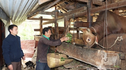 Toàn tỉnh giảm hơn 9.500 hộ nghèo đa chiều trong năm 2025