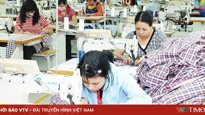 Year-end seasonal jobs: One position, many applications