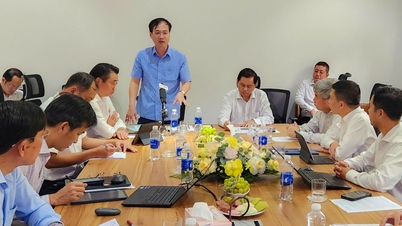 지방 지도자들이 주요 사업 및 공사를 시찰합니다.