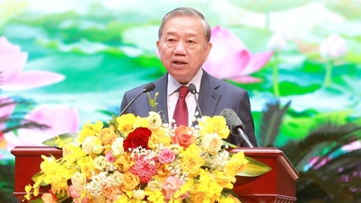 Enhancing strategic advisory services for the Party in the fields of internal affairs, combating corruption, waste, and negative practices, and judicial reform.