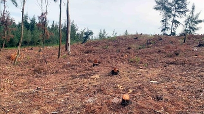O combate à desertificação está ligado à gestão sustentável da terra e dos recursos naturais.