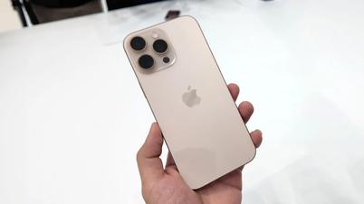 Das Aufblähen des iPhone-Akkus während des Fluges gibt Anlass zu Sicherheitsbedenken bei den Nutzern.