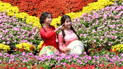 Sau Festival, hoa Sa Đéc bước sang tầm vóc mới