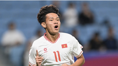 Vietnam U23 finalizes squad for the 2026 U23 Asian Championship: Bui Vi Hao dropped from the squad.