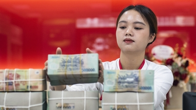 Bank Negara Vietnam memperketat persyaratan untuk penyetoran modal dan pembelian saham di lembaga kredit.