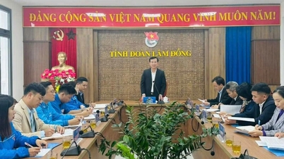 "Digital literacy for the masses" - A foundation in building a digital society in Lam Dong.