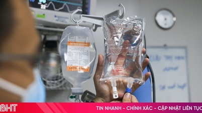 Kementerian Kesihatan memberi amaran tentang lonjakan tiga penyakit berjangkit menjelang Tet.