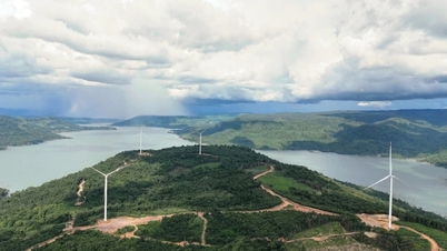 Grensoverschrijdende elektriciteit en de rol van de particuliere sector