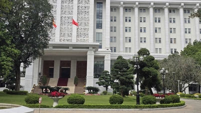 Devlet dairesinin idari prosedür kontrol işlevini kaldırın.
