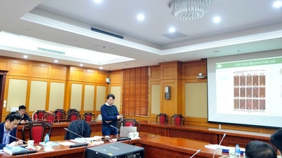 Penyelidikan tentang degradasi ketahanan dan penyelesaian yang dicadangkan untuk meningkatkan jangka hayat bahan dalam struktur luar pesisir di bawah iklim marin Vietnam.