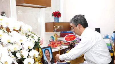 Para pemimpin Kota Ho Chi Minh mengunjungi dan menyampaikan belasungkawa kepada keluarga seorang relawan yang meninggal dalam kecelakaan di Lao Cai.